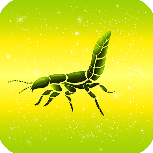 rove love compatibility