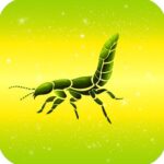 rove love compatibility